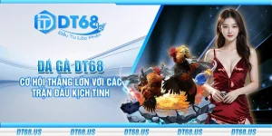 Đá gà DT68 - Cơ hội thắng lớn với các trận đấu kịch tính