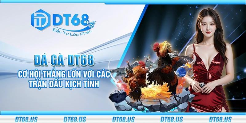 Đá gà DT68 - Cơ hội thắng lớn với các trận đấu kịch tính