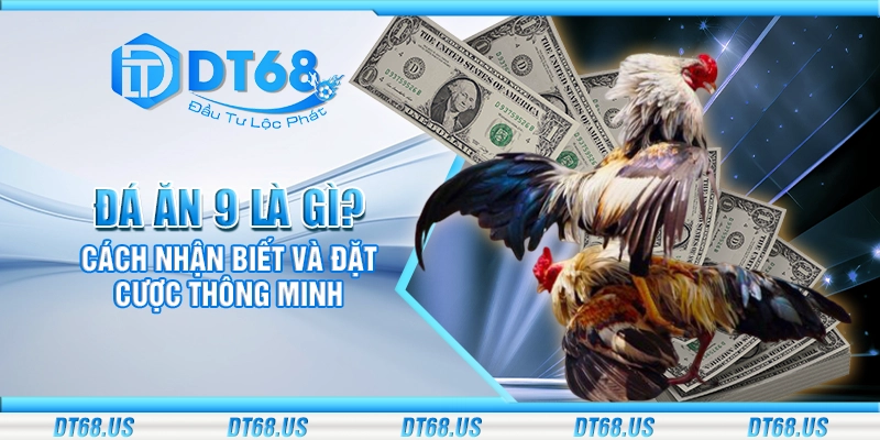 Đá ăn 9 là gì? Cách nhận biết và đặt cược thông minh