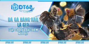 Đá gà hàng xáo là gì? Luật chơi và đặc điểm nổi bật