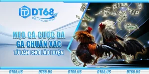 Mẹo cá cược đá gà chuẩn xác từ dân chơi lão luyện