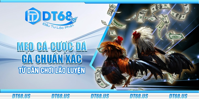 Mẹo cá cược đá gà chuẩn xác từ dân chơi lão luyện