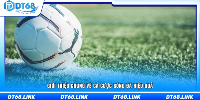 Khái quát về cách cá cược bóng đá