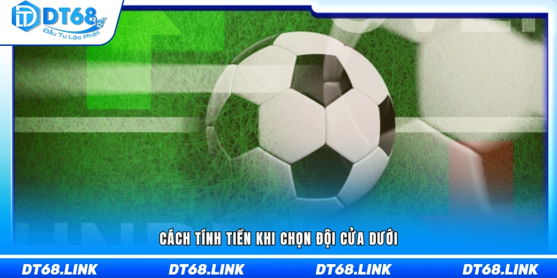 Phương pháp tính tiền cược khi lựa chọn cửa dưới