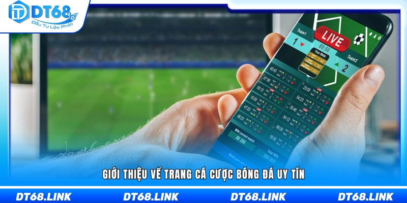 Khái quát các trang cá cược bóng đá uy tín