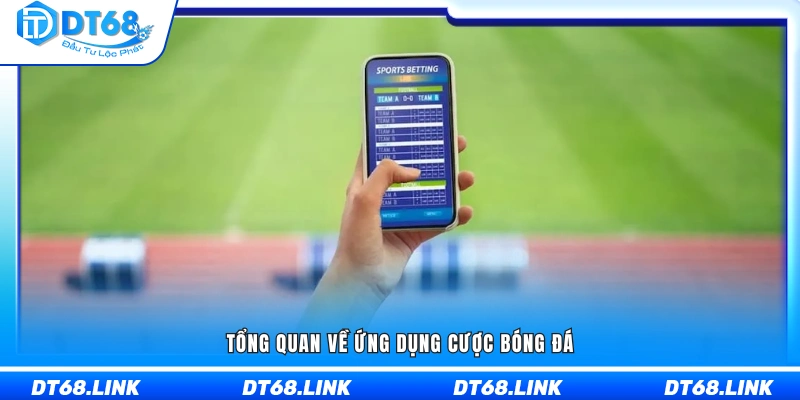 Toàn cảnh hệ thống ứng dụng cược bóng đá